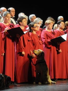 Actuación del Orfeón Fermín Gurbindo de Madrid